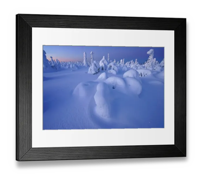 Framed Print : Snow landscape, Kuntivaara, Finland, Europe Framed Print : Snow landscape, Kuntivaara, Finland, Europe