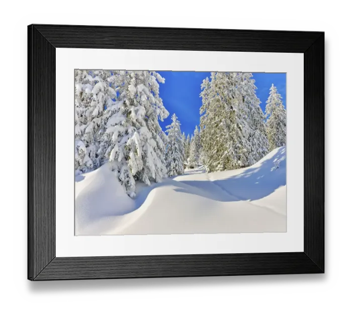 Framed Print : Winter Landscape, Snowy Forest