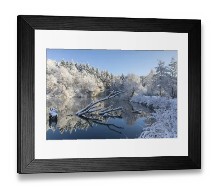 Framed Print : Danube, river, willow (Salix), snow