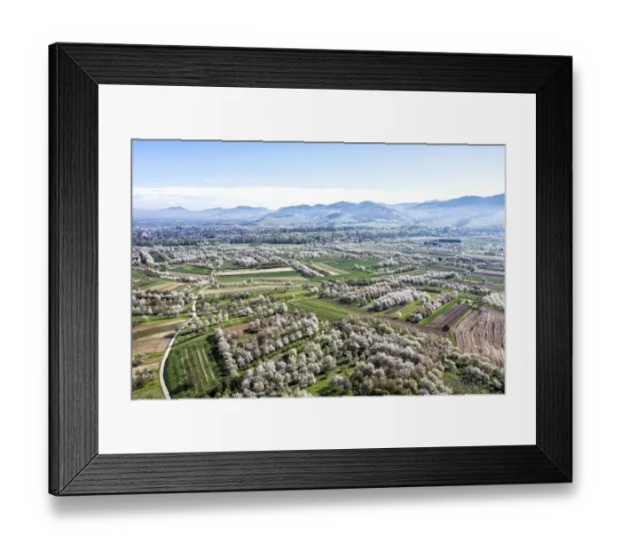 Framed Print : Spring in the Renchtal in the Ortenau