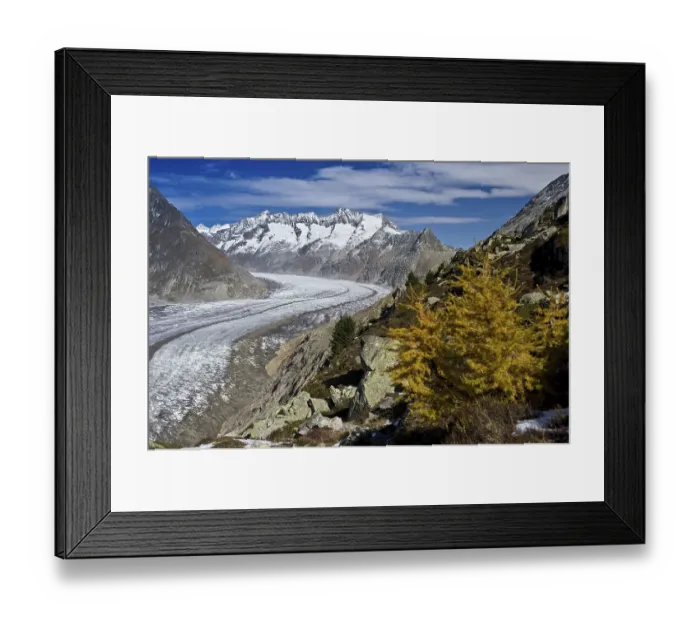 Framed Print : Aletsch Glacier and the Bernese Oberland
