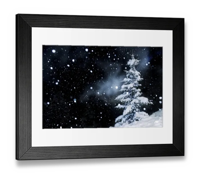 Framed Print : Fir tree with snow and snowflakes Framed Print : Fir tree with snow and snowflakes