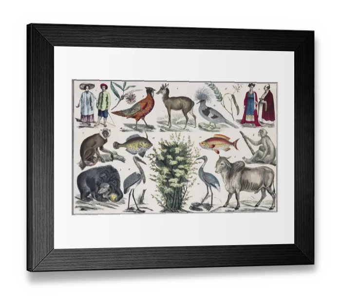 Framed Print : Zone-painting East Asia, the Manchurian Alpine country Framed Print : Zone-painting East Asia, the Manchurian Alpine country