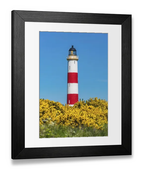 Framed Print : Tarbat Ness Lighthouse, Portmahomack