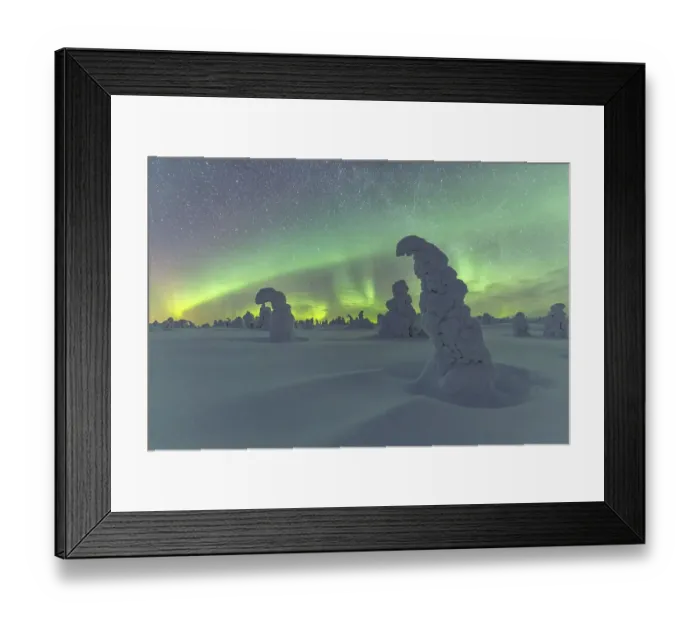 Framed Print : Northern Lights over Snowed-in Trees