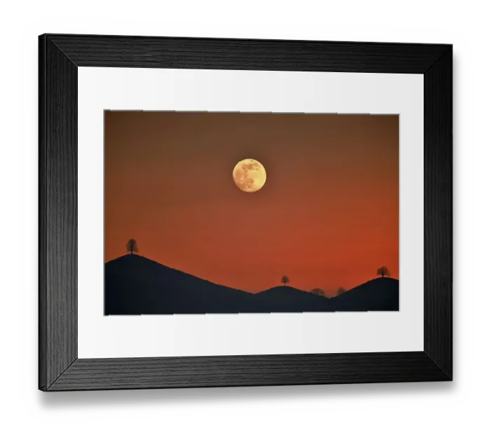 Framed Print : Double exposure, full moon before sunset with trees on moraine hill Framed Print : Double exposure, full moon before sunset with trees on moraine hill