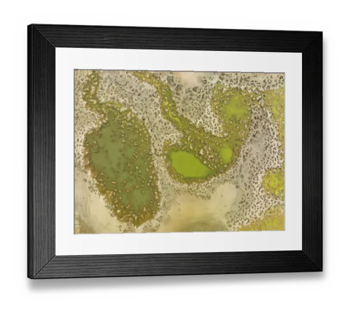 Framed Print : Marshland at the lagoon Estero del Rincon Framed Print : Marshland at the lagoon Estero del Rincon