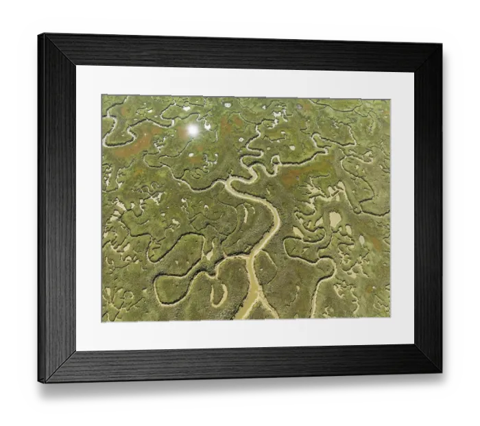 Framed Print : Network of channels and streams at low tide Framed Print : Network of channels and streams at low tide