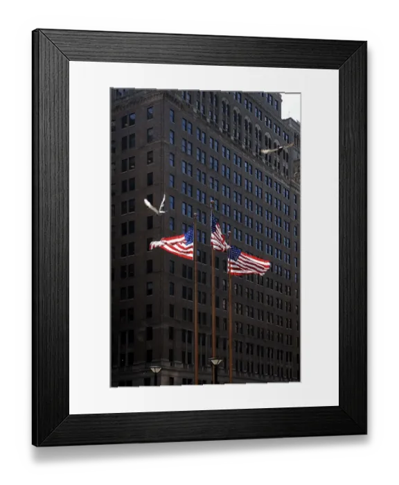 Framed Print : United States of America flags Framed Print : United States of America flags