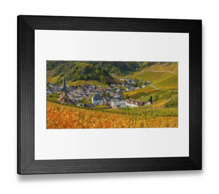 Framed Print : Vineyards in autumn, Mayschoss