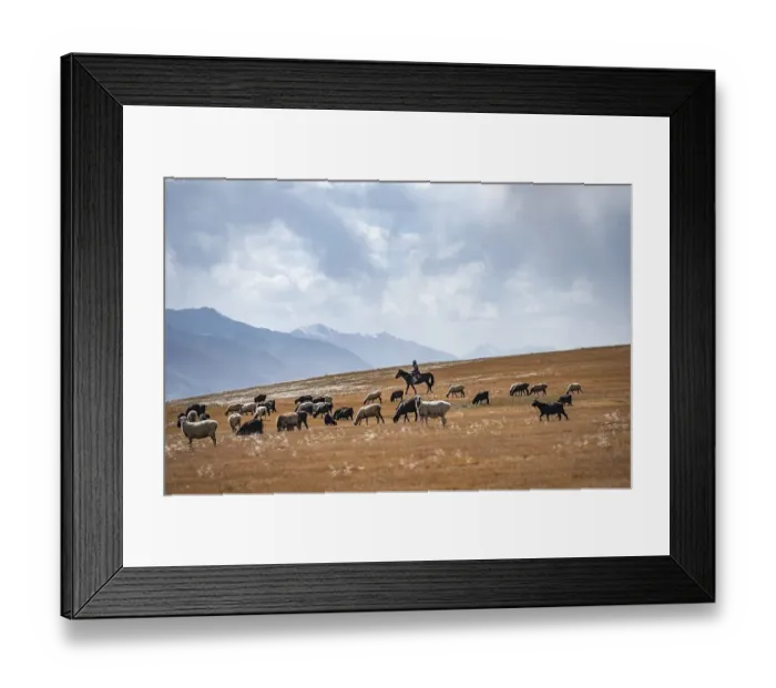 Framed Print : Nomadic life on a plateau, shepherd on horse Framed Print : Nomadic life on a plateau, shepherd on horse