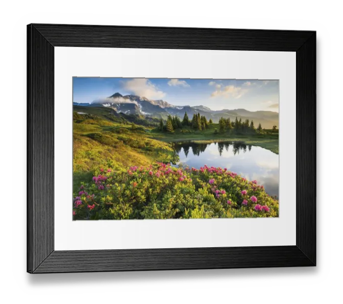 Framed Print : Chalberboden, view of Schwarzhorn