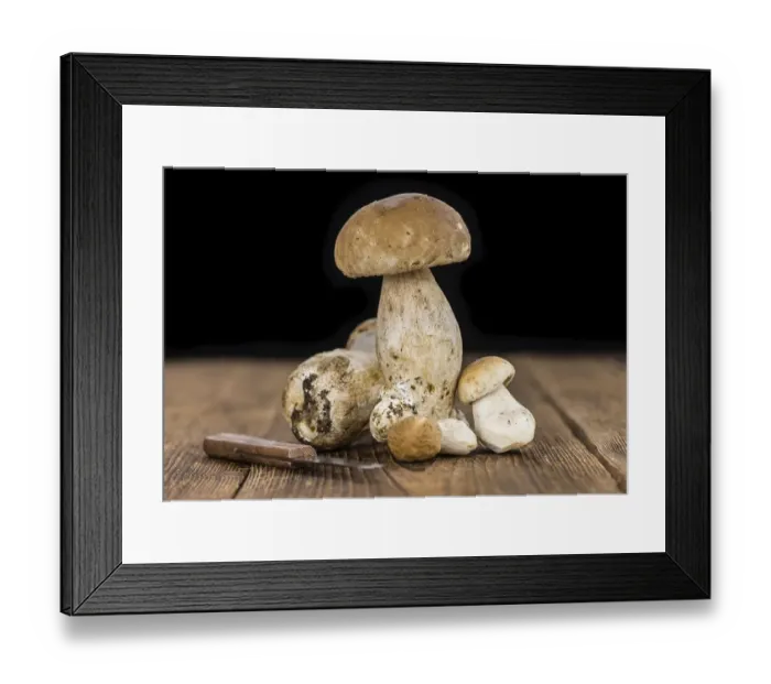 Framed Print : Porcinis on a vintage background (close-up shot) Framed Print : Porcinis on a vintage background (close-up shot)