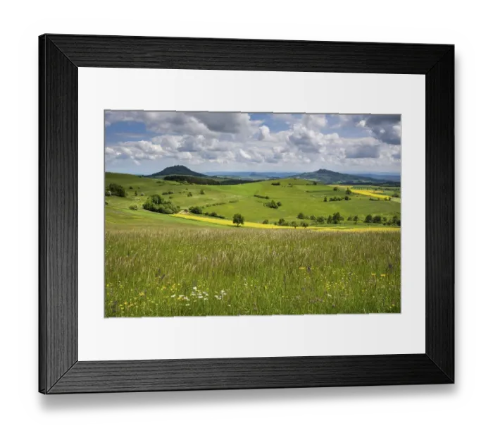 Framed Print : Meadow in early summer, Baden-Wuerttemberg