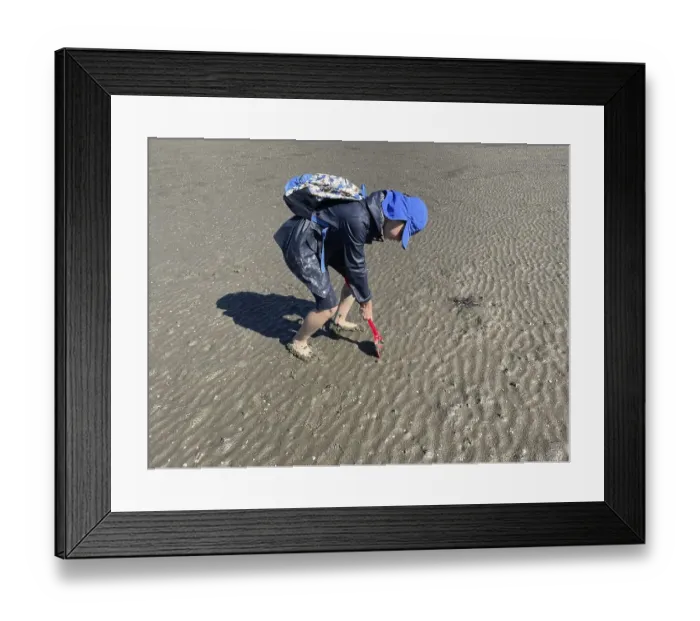 Framed Print : Mudflat walk, low tide, mud crab (Corophium volutator)