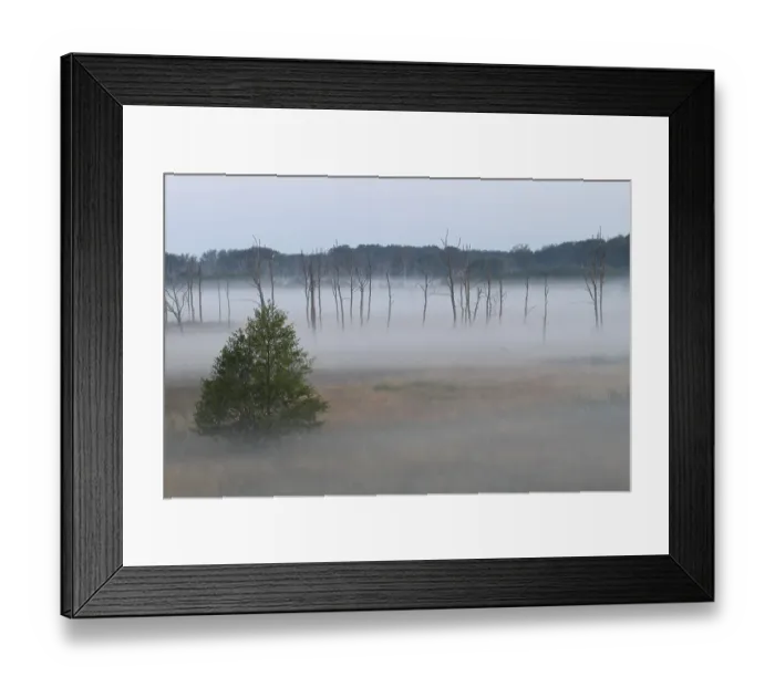 Framed Print : Foggy mood in the morning over the moor