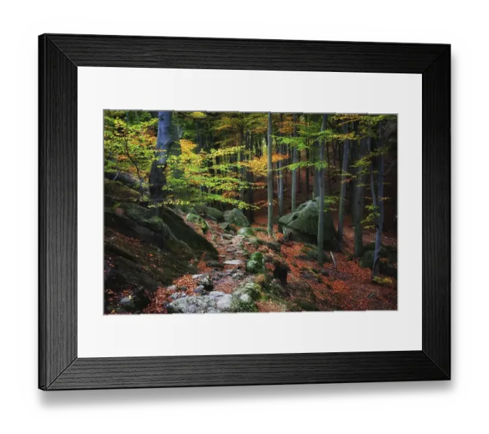Framed Print : Path in the forest, picturesque autumn scenery in the mountains