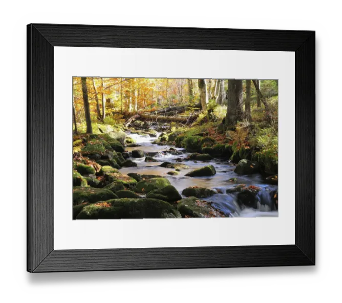 Framed Print : The Kleine Ohe in the Bavarian Forest Framed Print : The Kleine Ohe in the Bavarian Forest