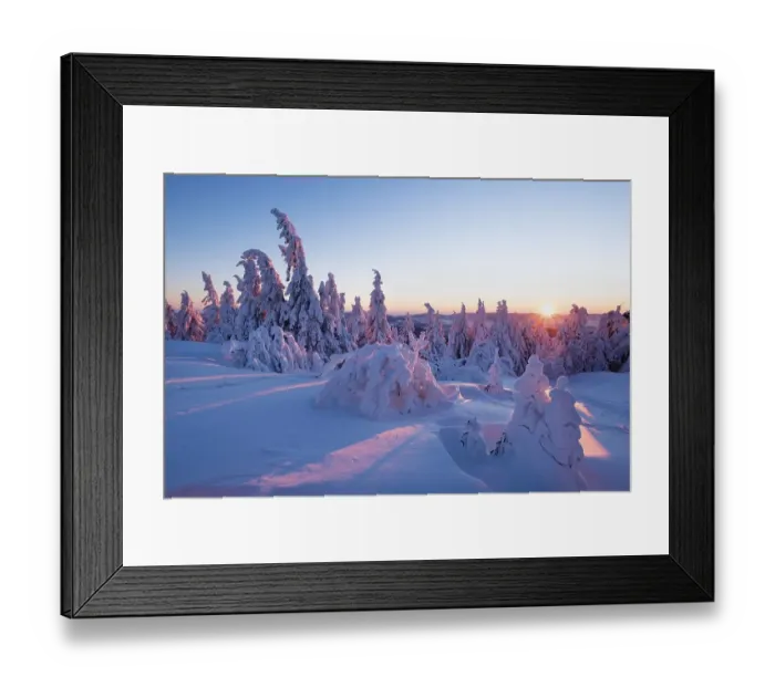 Framed Print : Sunset, Arbermandl, snowy spruces Framed Print : Sunset, Arbermandl, snowy spruces