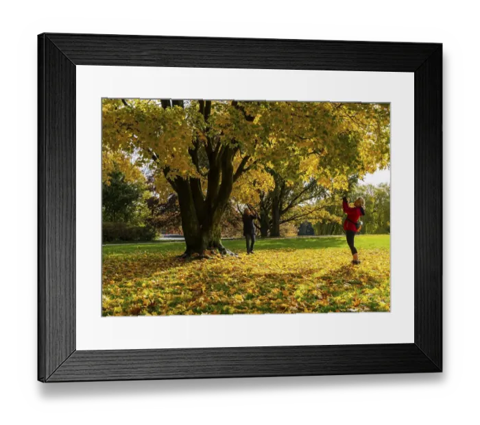 Framed Print : Autumn time, trees and foliage in the park