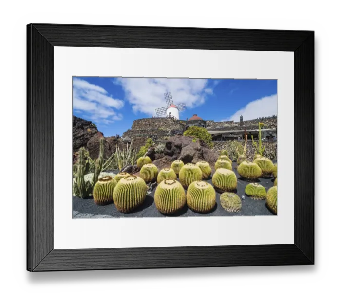 Framed Print : Jardin de Cactus, cactus garden Cesar Manrique