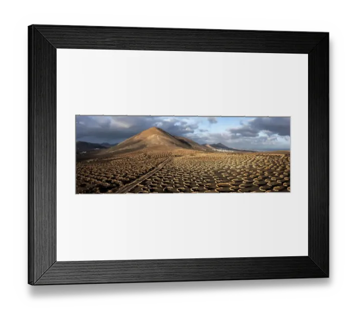 Framed Print : Grapevines growing in black volcanic soil in protected enclosed pits