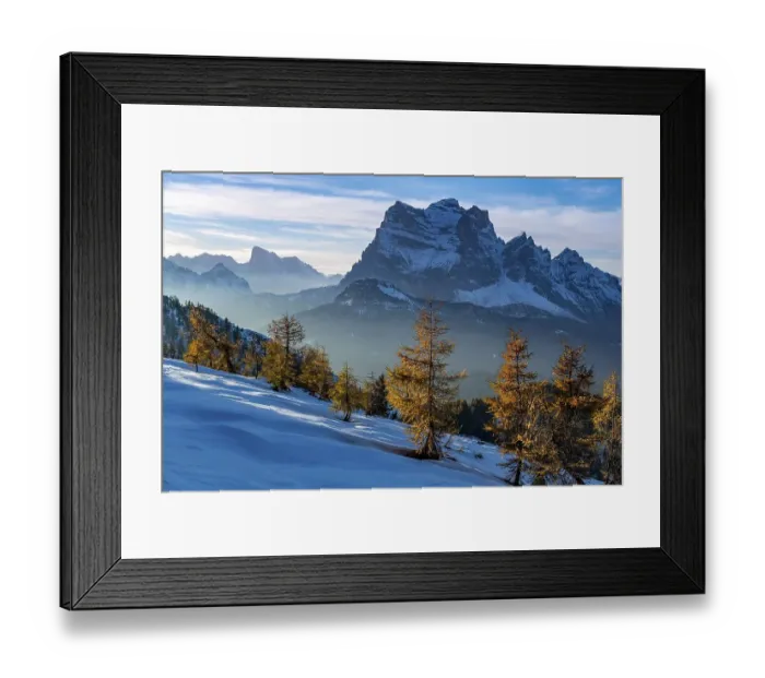 Framed Print : Peak of Monte Pelmo in the evening light with larch forest in the foreground