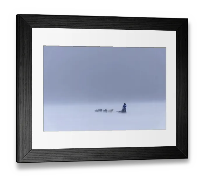 Framed Print : Dog team at Trappers Trail in dense fog
