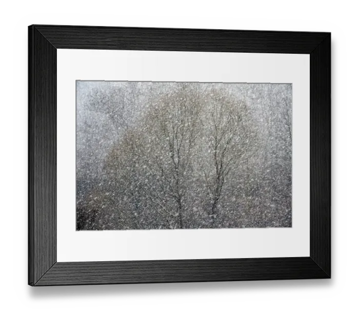 Framed Print : Snowfall, Karlovy Vary, Czech Republic, Europe