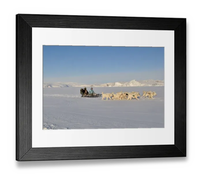 Framed Print : Dogsled trip to Ilulissat Fjord Framed Print : Dogsled trip to Ilulissat Fjord