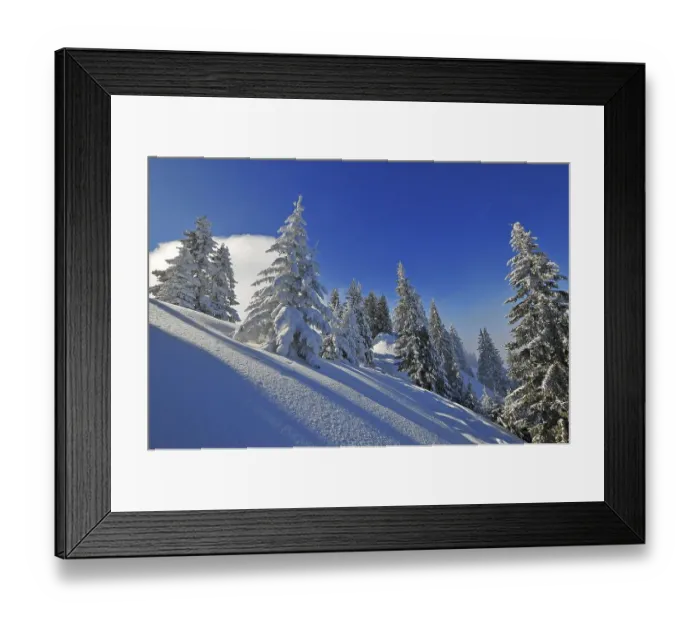 Framed Print : Mountain forest in winter, Laber