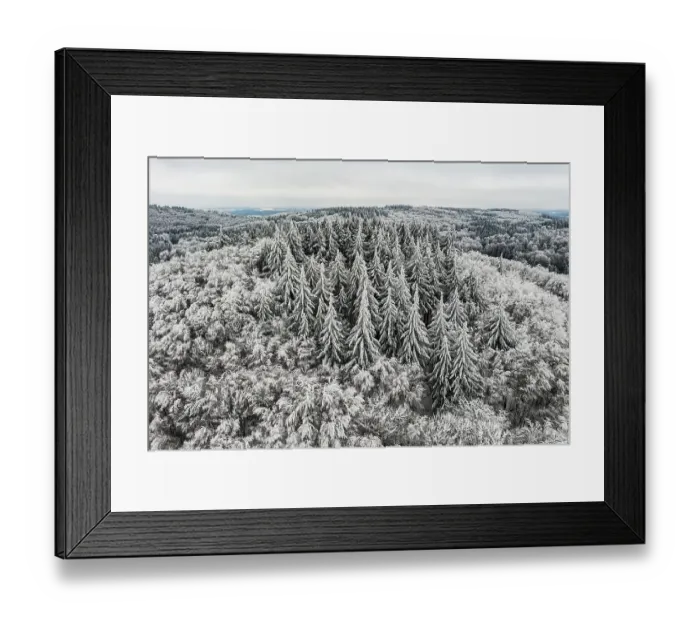 Framed Print : Hoarfrost and snow with wintry landscape with forest and conifers Framed Print : Hoarfrost and snow with wintry landscape with forest and conifers