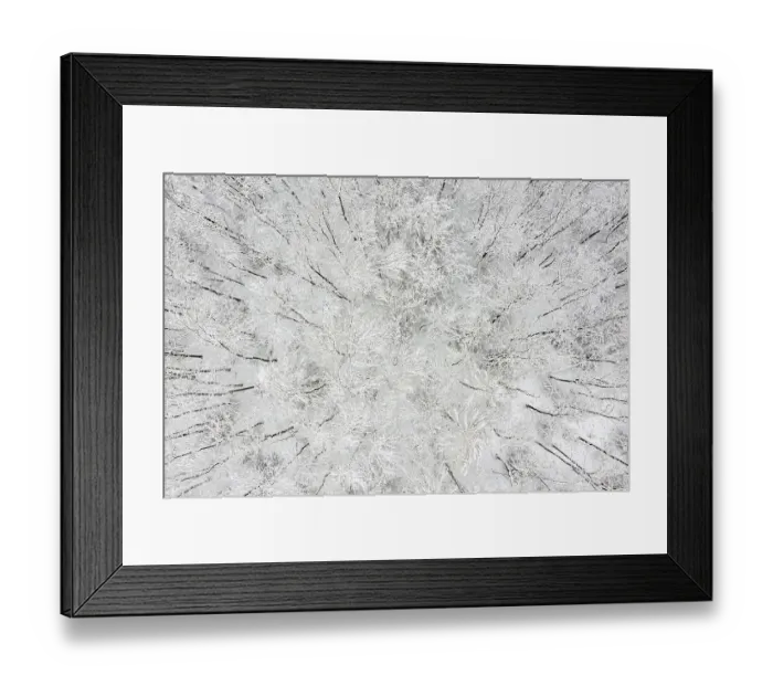 Framed Print : Snowy Forest Harz Selketal