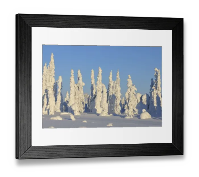 Framed Print : Snow covered winter landscape, Haataja Framed Print : Snow covered winter landscape, Haataja