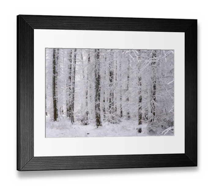 Framed Print : Winter forest, snowy landscape
