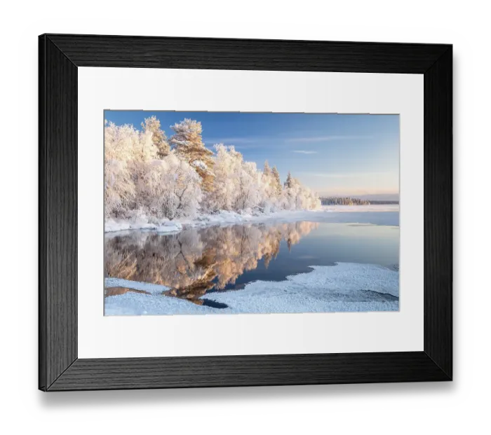 Framed Print : Snow-covered trees reflected in a semi-frozen lake Framed Print : Snow-covered trees reflected in a semi-frozen lake