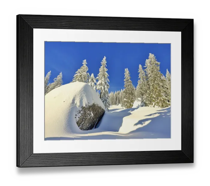 Framed Print : Winter Landscape, Snowy Forest