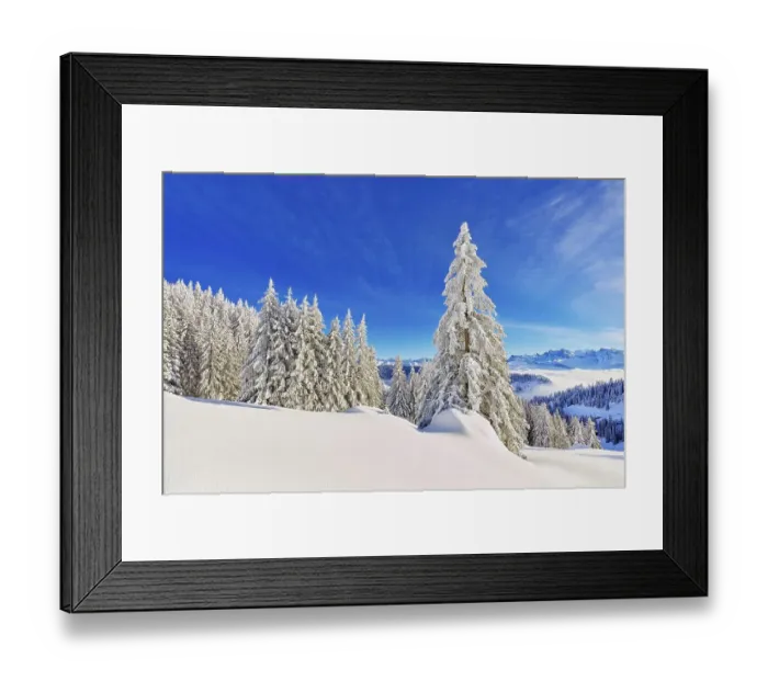 Framed Print : Winter Landscape, Snowy Forest