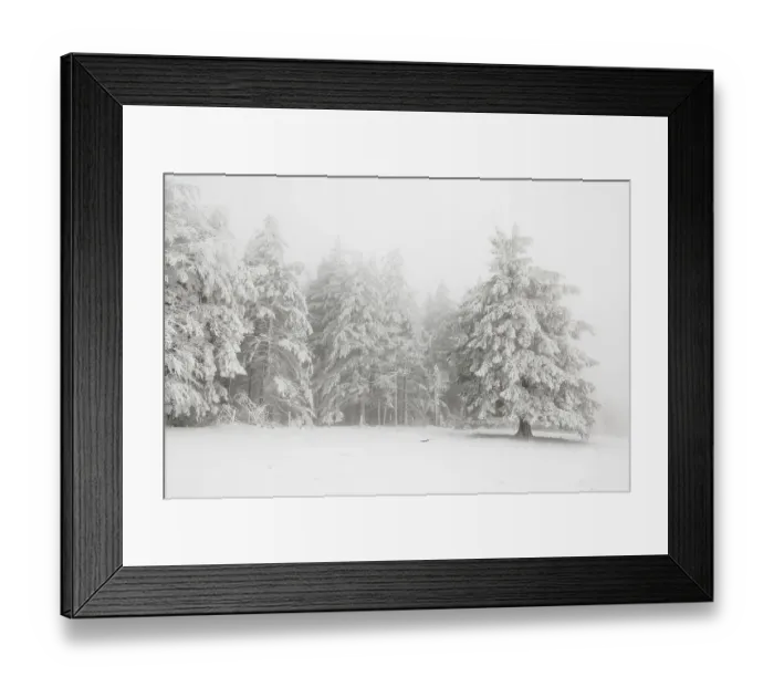 Framed Print : Winter forest with hoarfrost on the trees and fog on the mountain Kandel Framed Print : Winter forest with hoarfrost on the trees and fog on the mountain Kandel