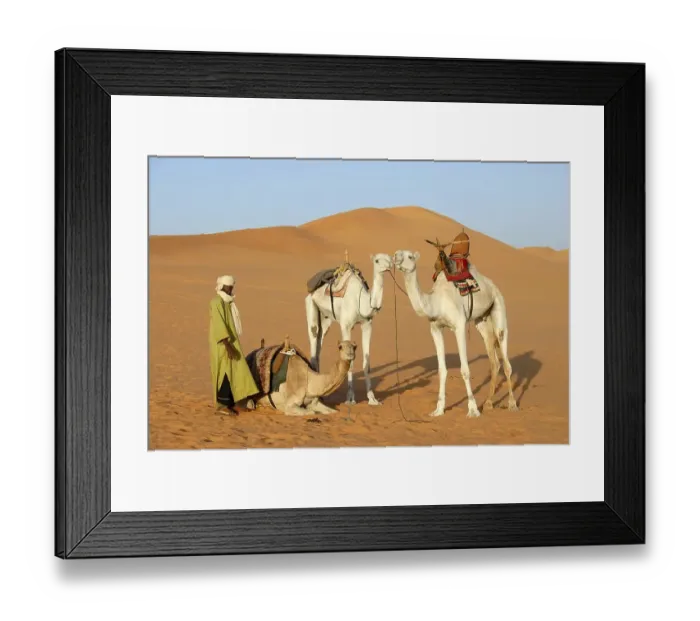 Framed Print : Tuareg stays with camels in desert sand Mandara Libya
