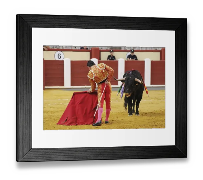 Framed Print : Bullfighting, Matador with muleta and sword