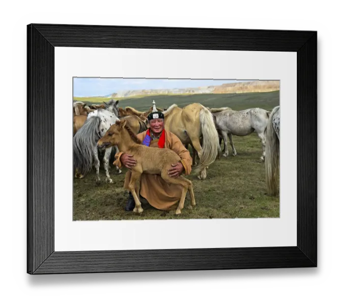 Framed Print : Mongolian man, horse shepherd, in traditional dress with foal and herd of horses