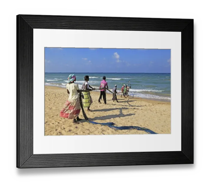 Framed Print : Traditional fishing hauling nets Nilavelli beach Framed Print : Traditional fishing hauling nets Nilavelli beach