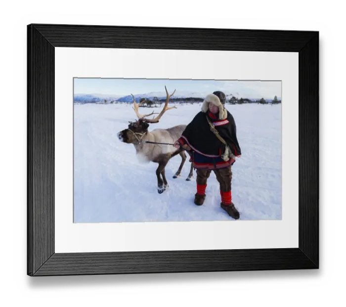 Framed Print : Man in traditional Sami dress, with a reindeer Framed Print : Man in traditional Sami dress, with a reindeer