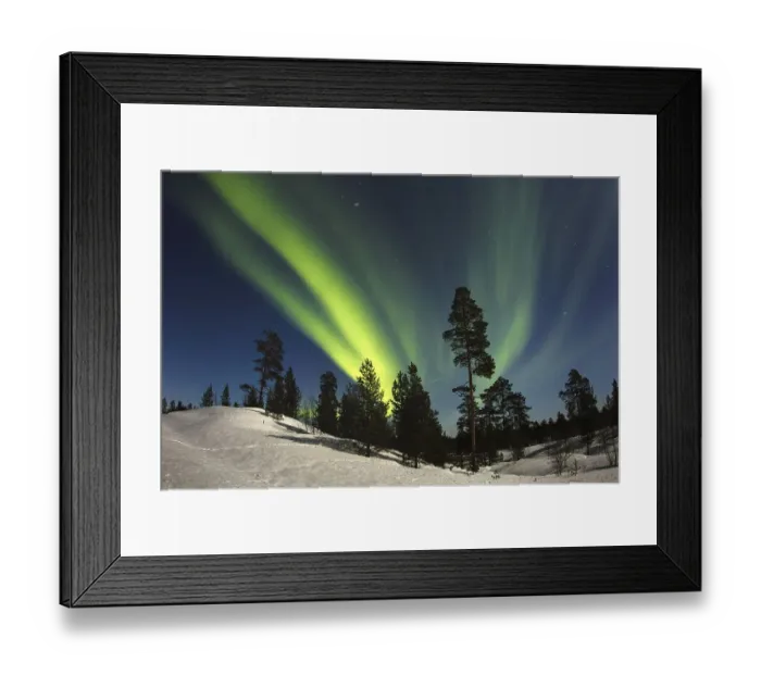 Framed Print : Aurora Borealis over coniferous forest in snow at night Framed Print : Aurora Borealis over coniferous forest in snow at night