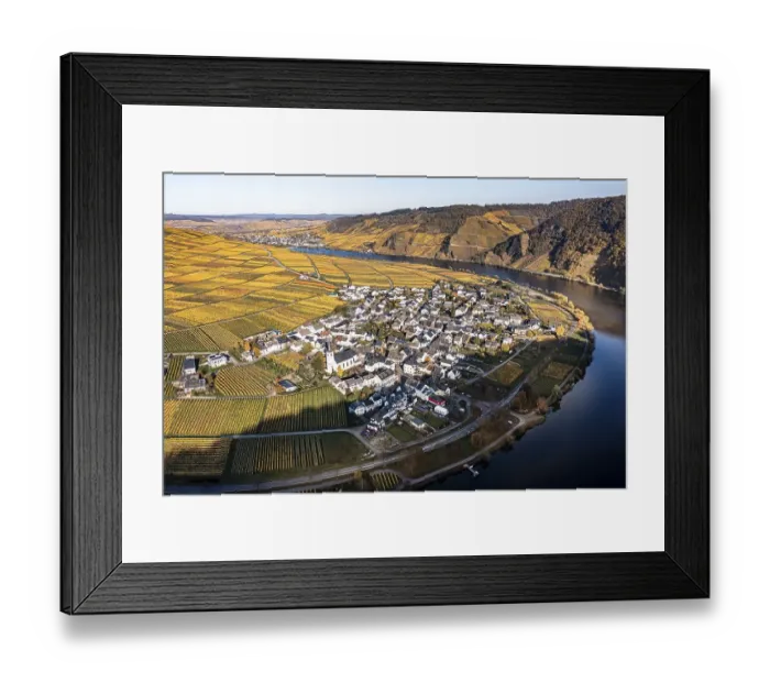 Framed Print : Aerial view, vineyards in autumn Framed Print : Aerial view, vineyards in autumn