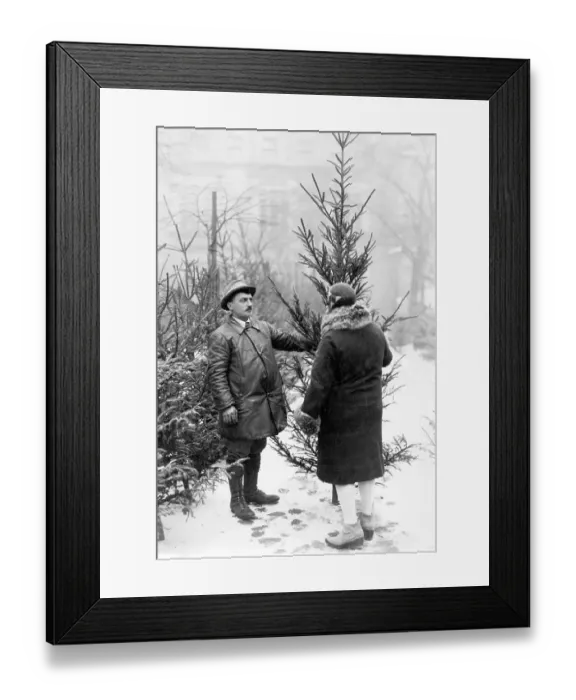 Framed Print : Christmas tree for sale ca. 1930