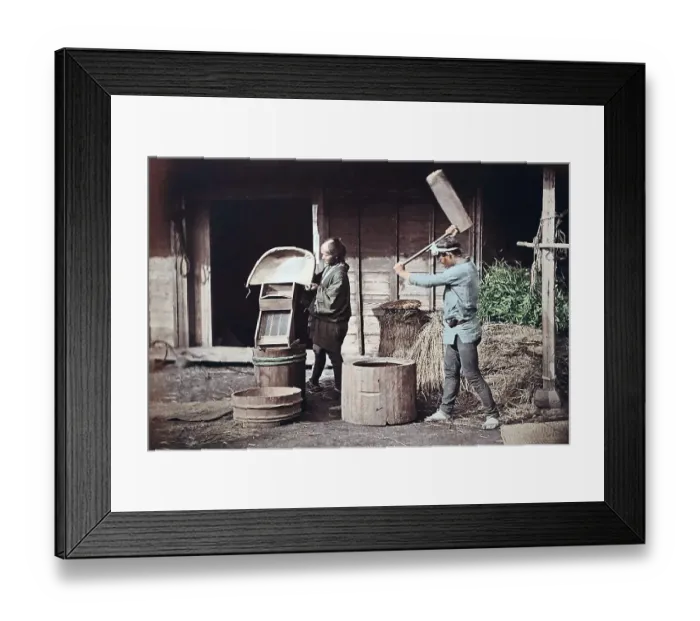 Framed Print : Agriculture, Japan, Asia Framed Print : Agriculture, Japan, Asia