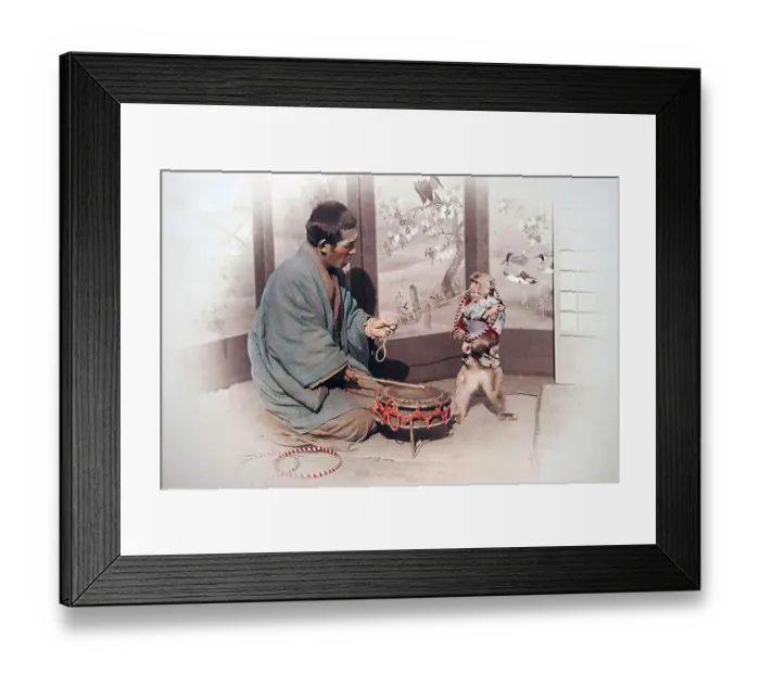 Framed Print : Trained monkey, Japan, Asia