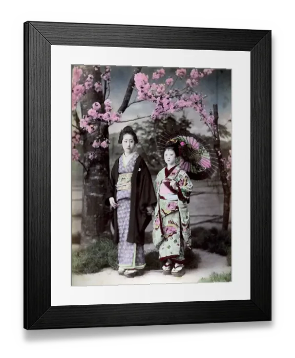 Framed Print : Two women, Japan, Asia
